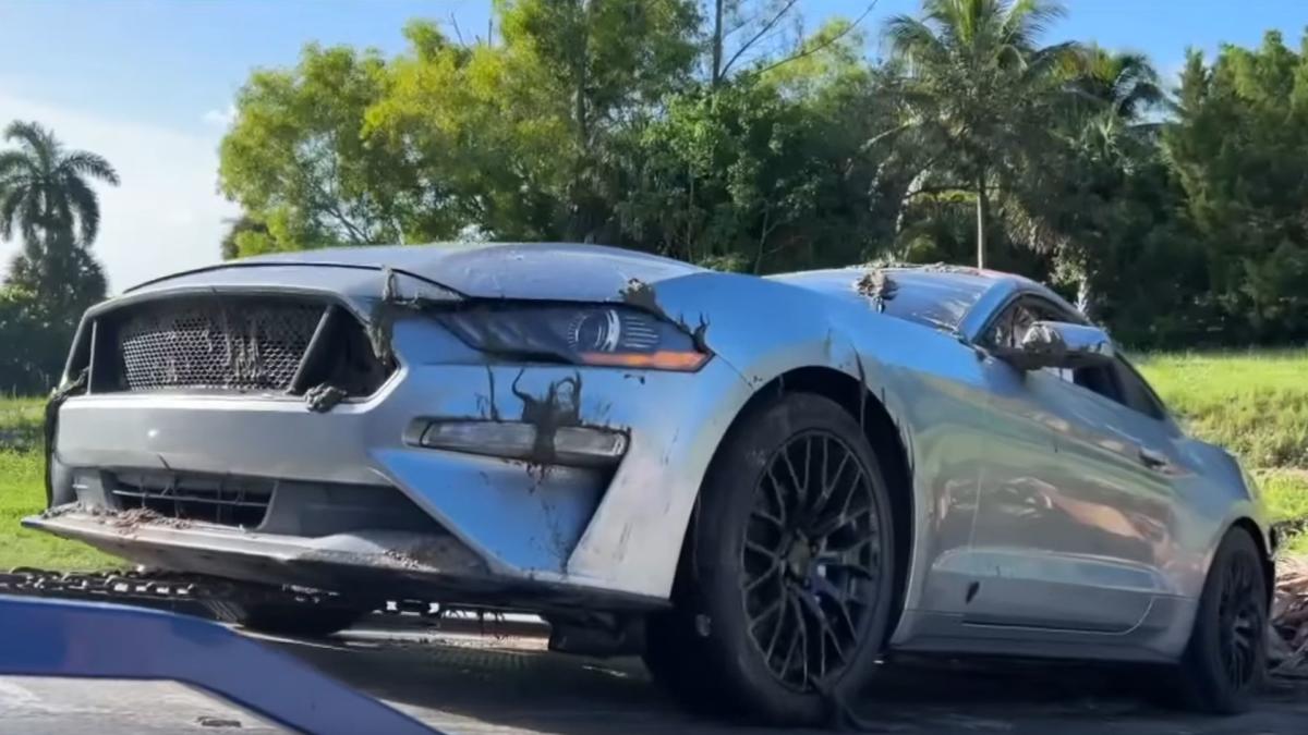 Mystery S550 Mustang Found Floating In Florida Canal