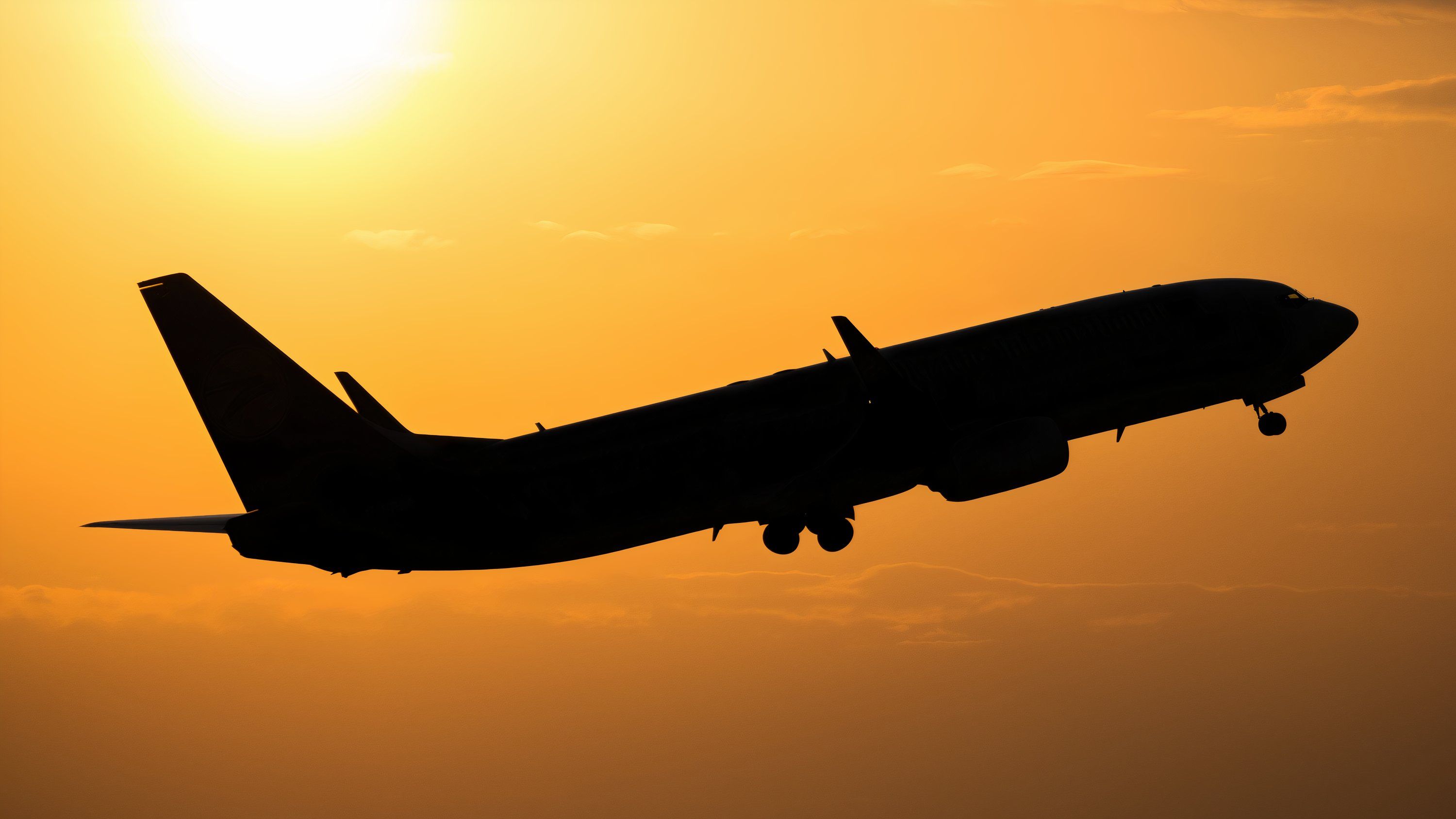 Former President Trump & JD Vance's Boeing 737-800 Enters Prohibited Airspace In Washington DC