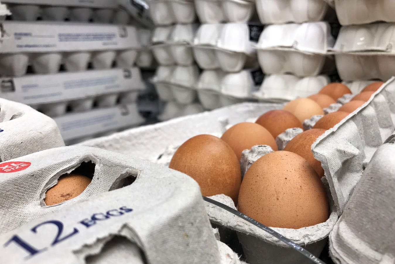 Salmonella Outbreak In Eggs: Dozens Ill In These 9 States From Midwest Farm