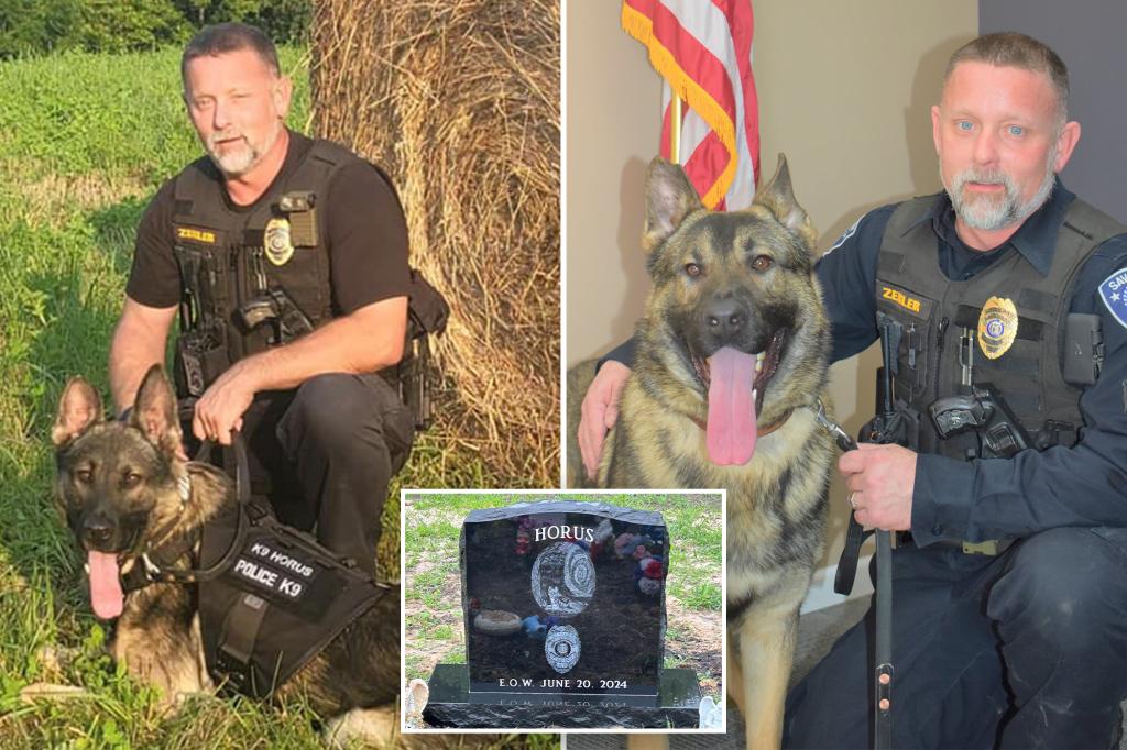 Cop accused in K-9 partner's death after leaving pooch in sweltering car