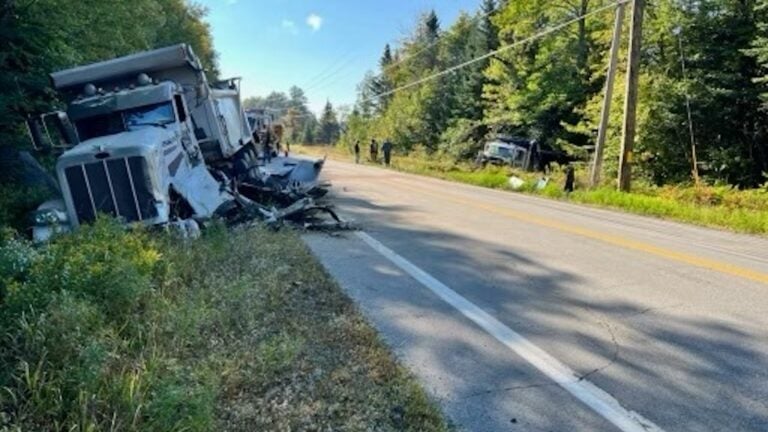 Truck drivers injured after colliding head on following crash with moose in N.H.