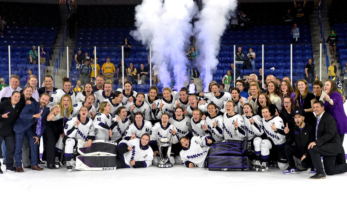 Story Behind Minnesota's PWHL Hockey New Team Name + Logo