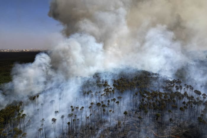 Amid the worst drought in Brazil history, wildfires rage and the Amazon falls to a record low level