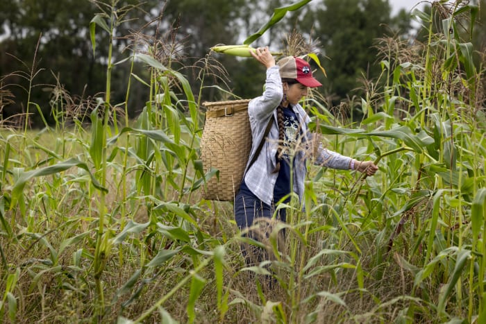 Spring rains destroyed a harvest important to the Oneida people. Farmers are working to adapt