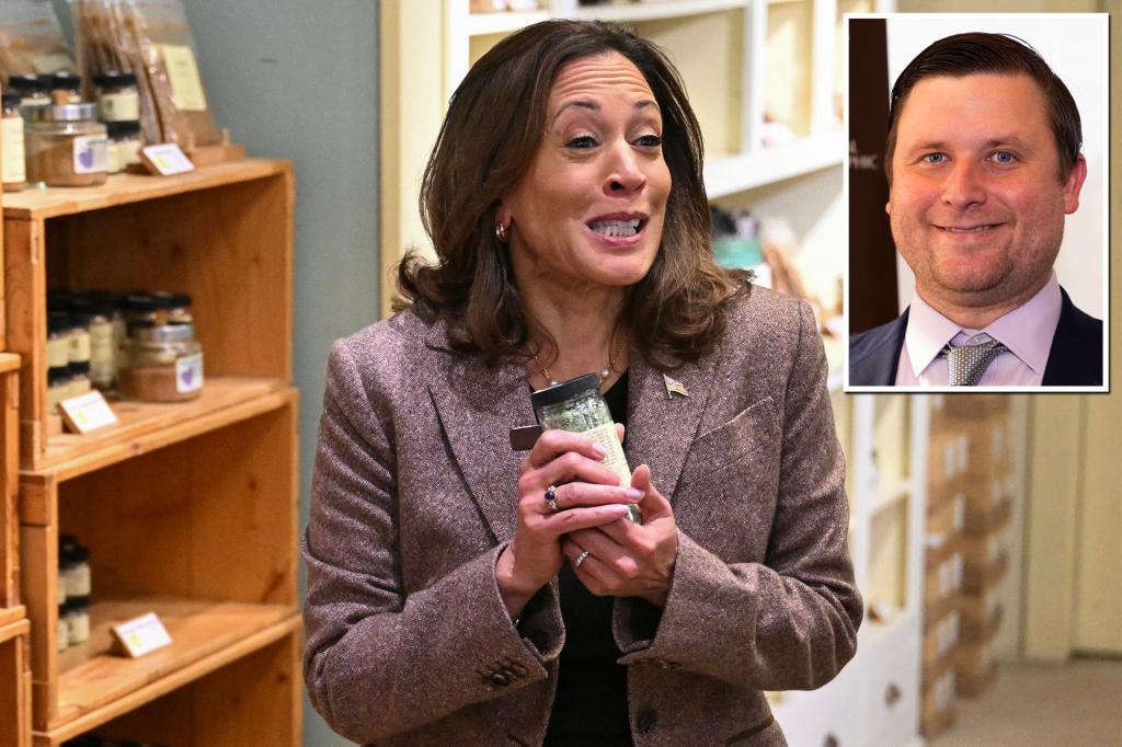 Washington Post columnist slammed for posting Harris' shopping list