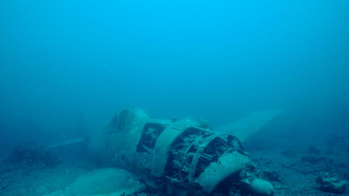 A Snorkeler Went on a Routine Excursion—and Stumbled Upon a Hidden Chunk of Rocket