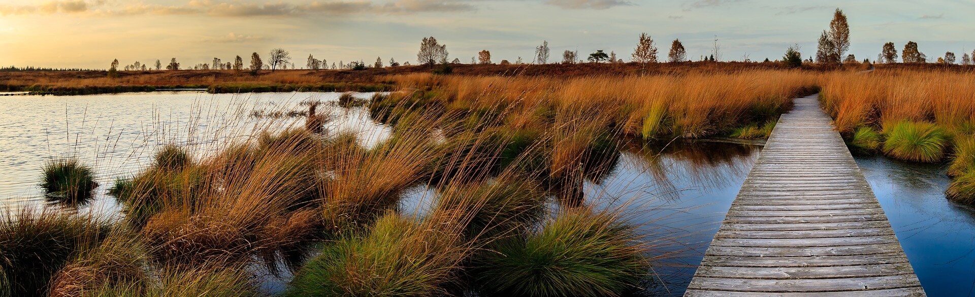 Minnesota, US are losing valuable wetlands at an increasing rate