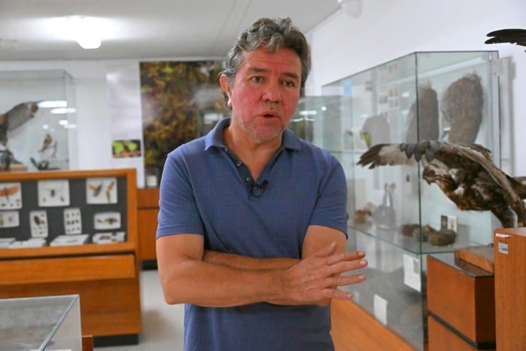 Hunt for rare bird shows how Ecuador narco violence impedes research