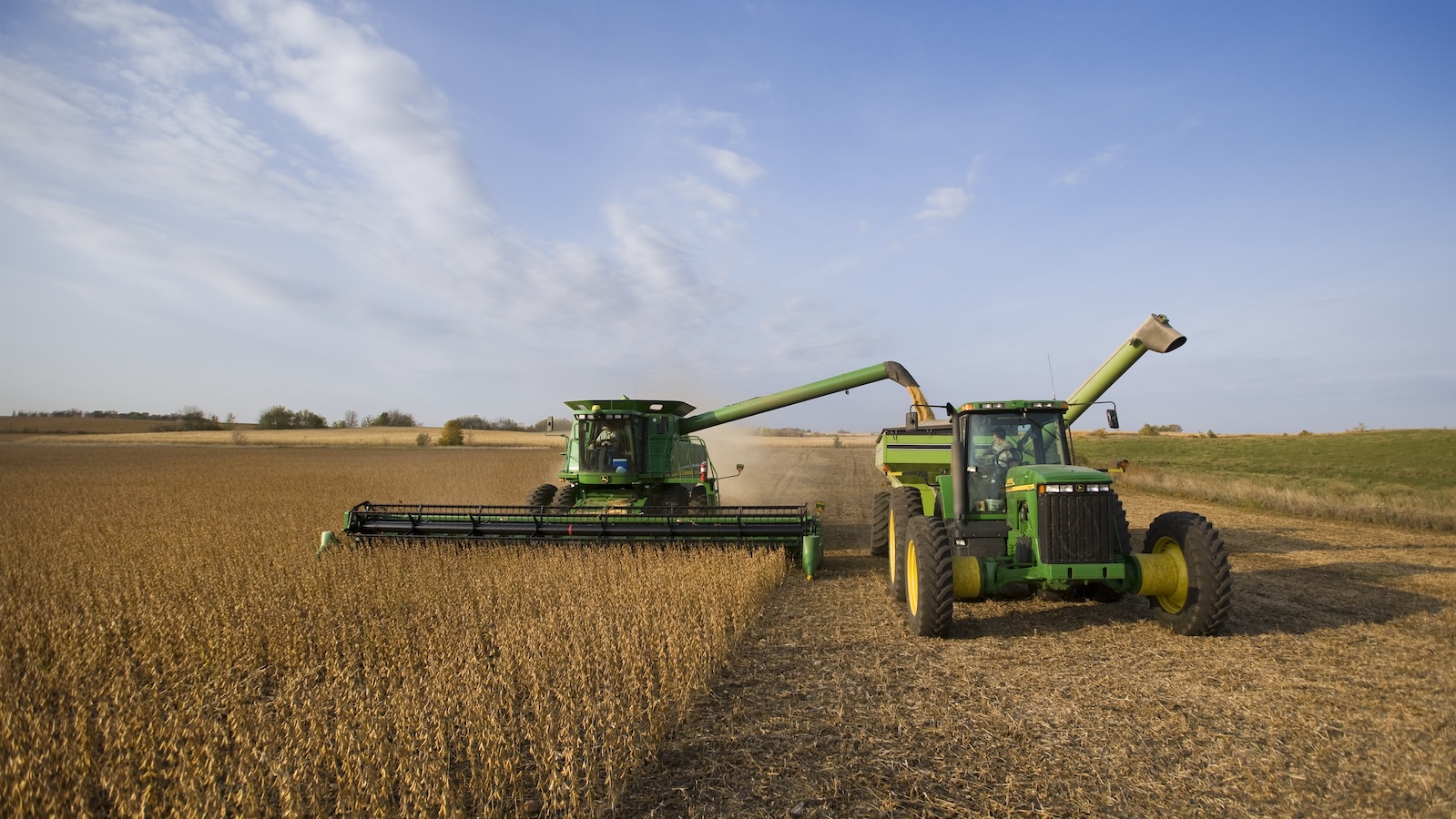 Here’s how much cropland could be freed up if Americans ate half as much meat