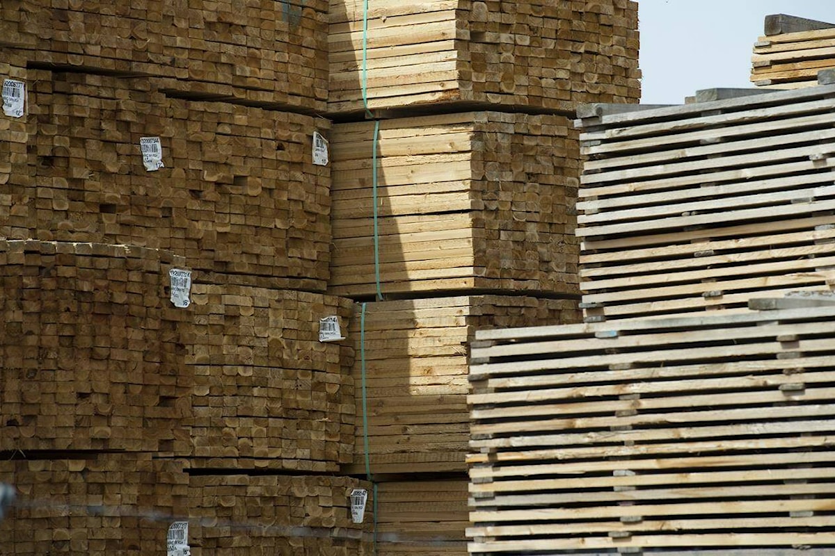 Canada takes US to court over its near-doubling softwood lumber duties