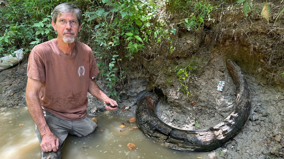 He stumbled onto a large tusk in a Mississippi creek. It turned out to be a first-of-its-kind discovery