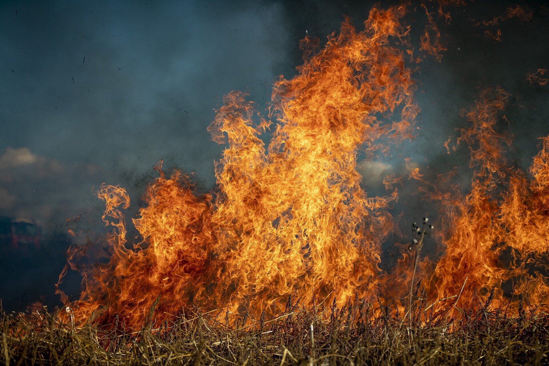 Wildfires are increasing toxic mercury in streams in Idaho, Oregon, Washington, study finds