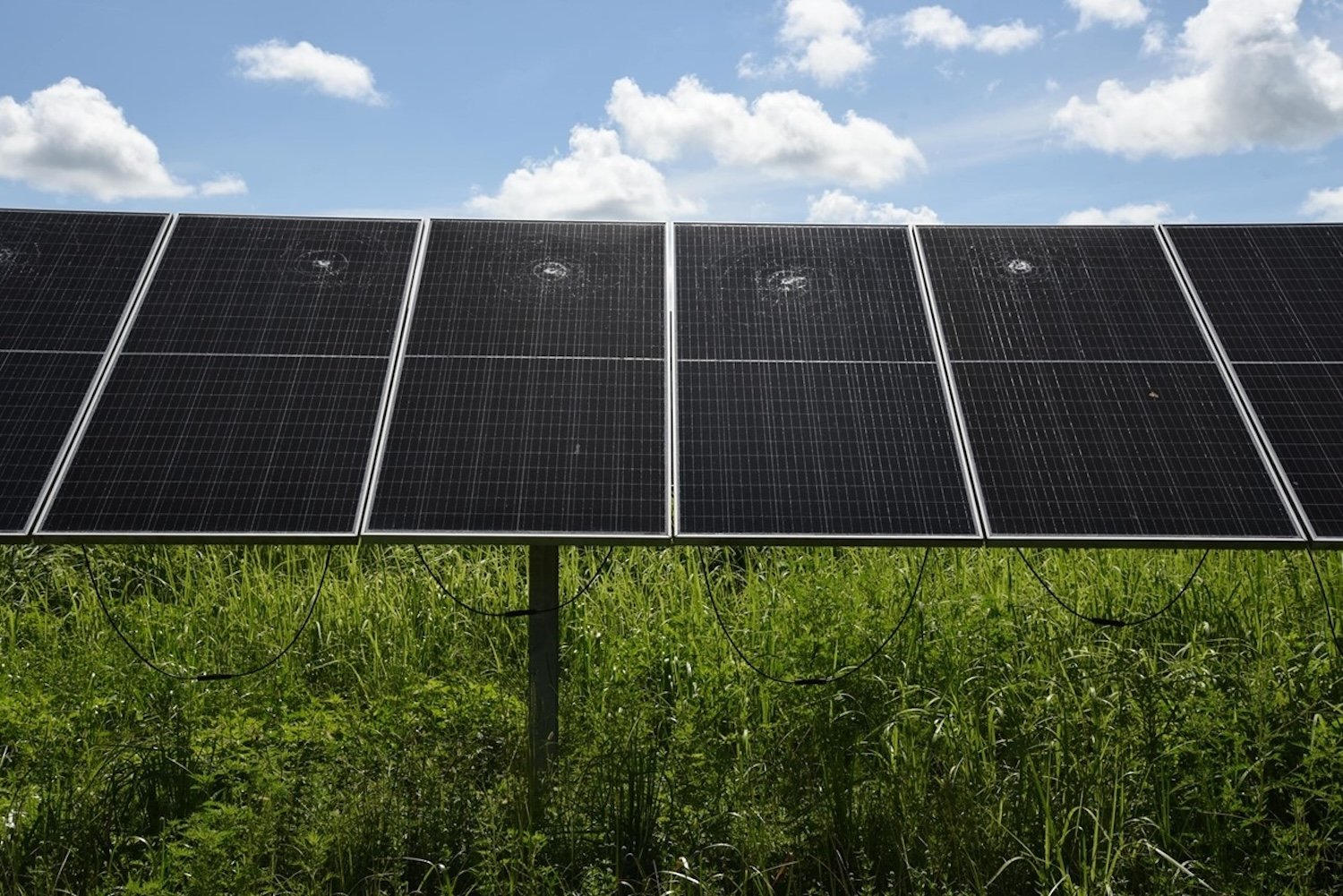 Florida Man Arrested for Causing $700,000 in Damage at Solar Power Facility