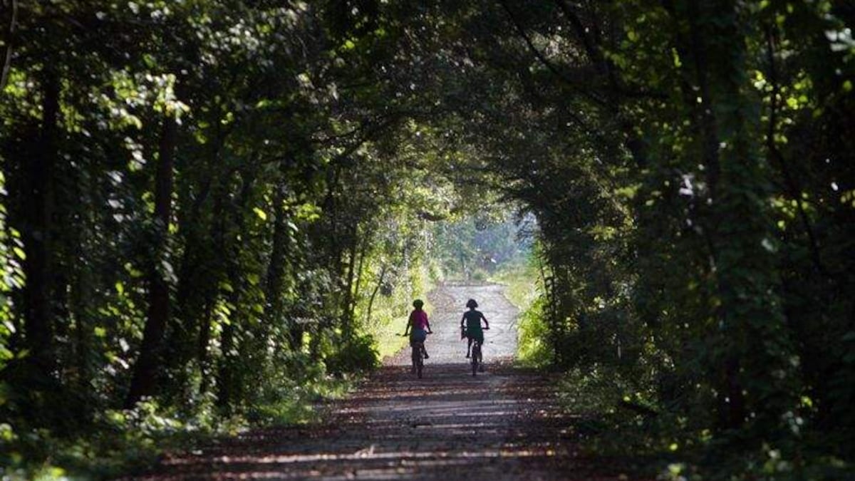 Months ago, Florida OK'd giving 324 acres of state forest to golf course company