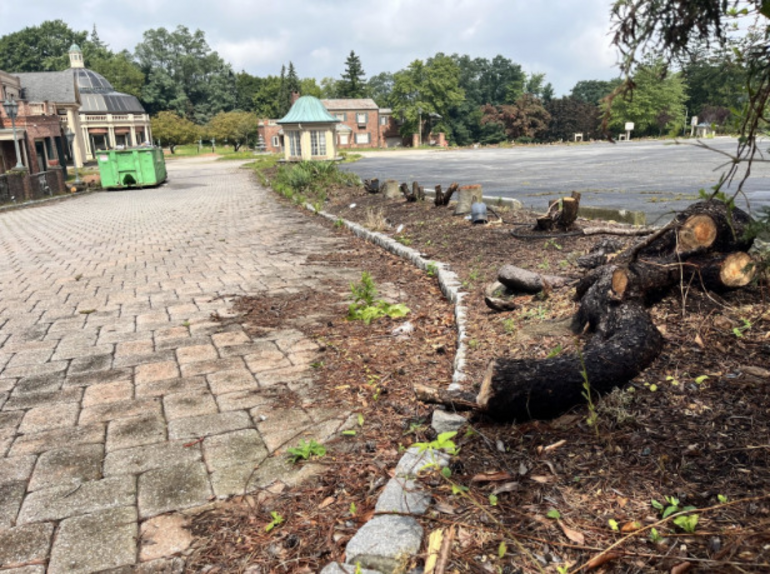 Hundreds of trees cut down at former site of The Manor in West Orange