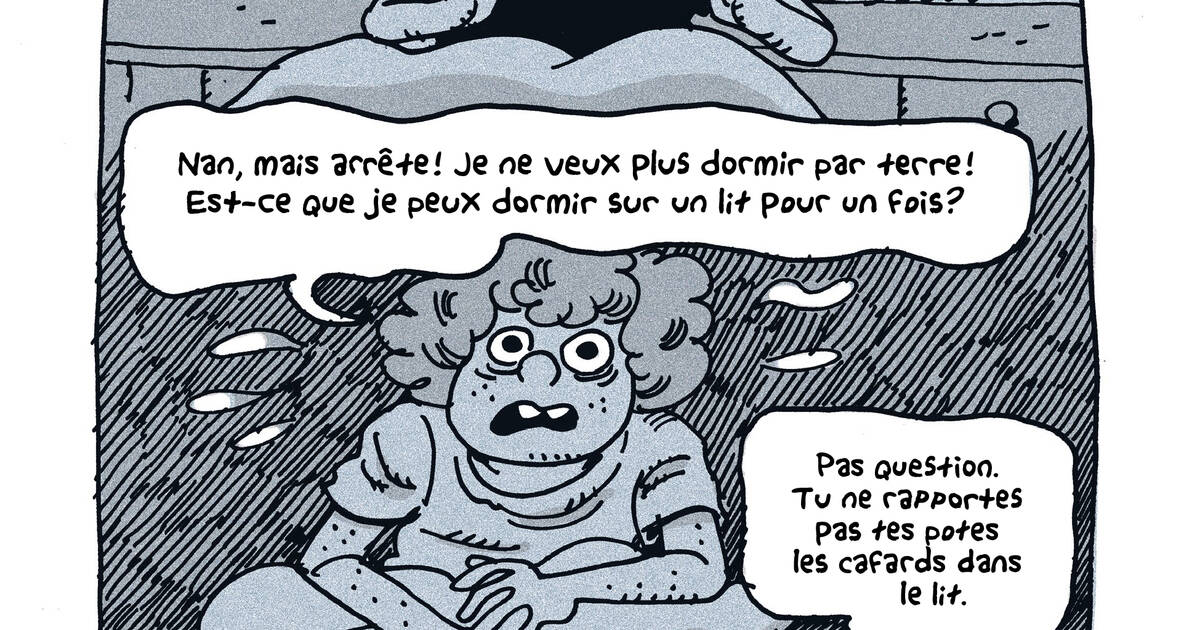 La BD «Maple Terrace» de Noah Van Sciver met le feu aux bourdes