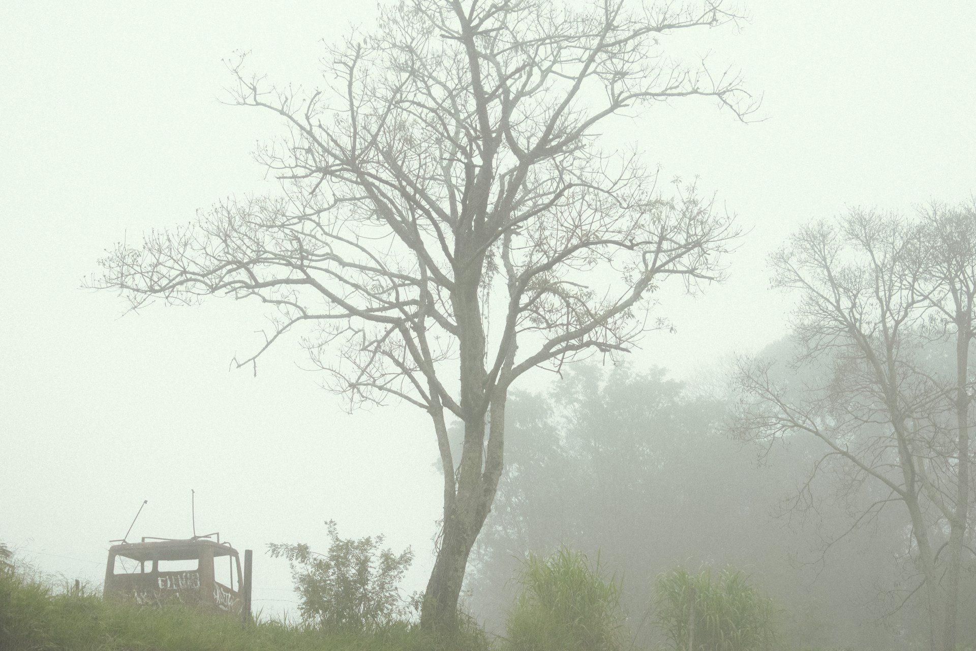 Virada no clima: temperatura despenca e pode bater recorde no fim de semana