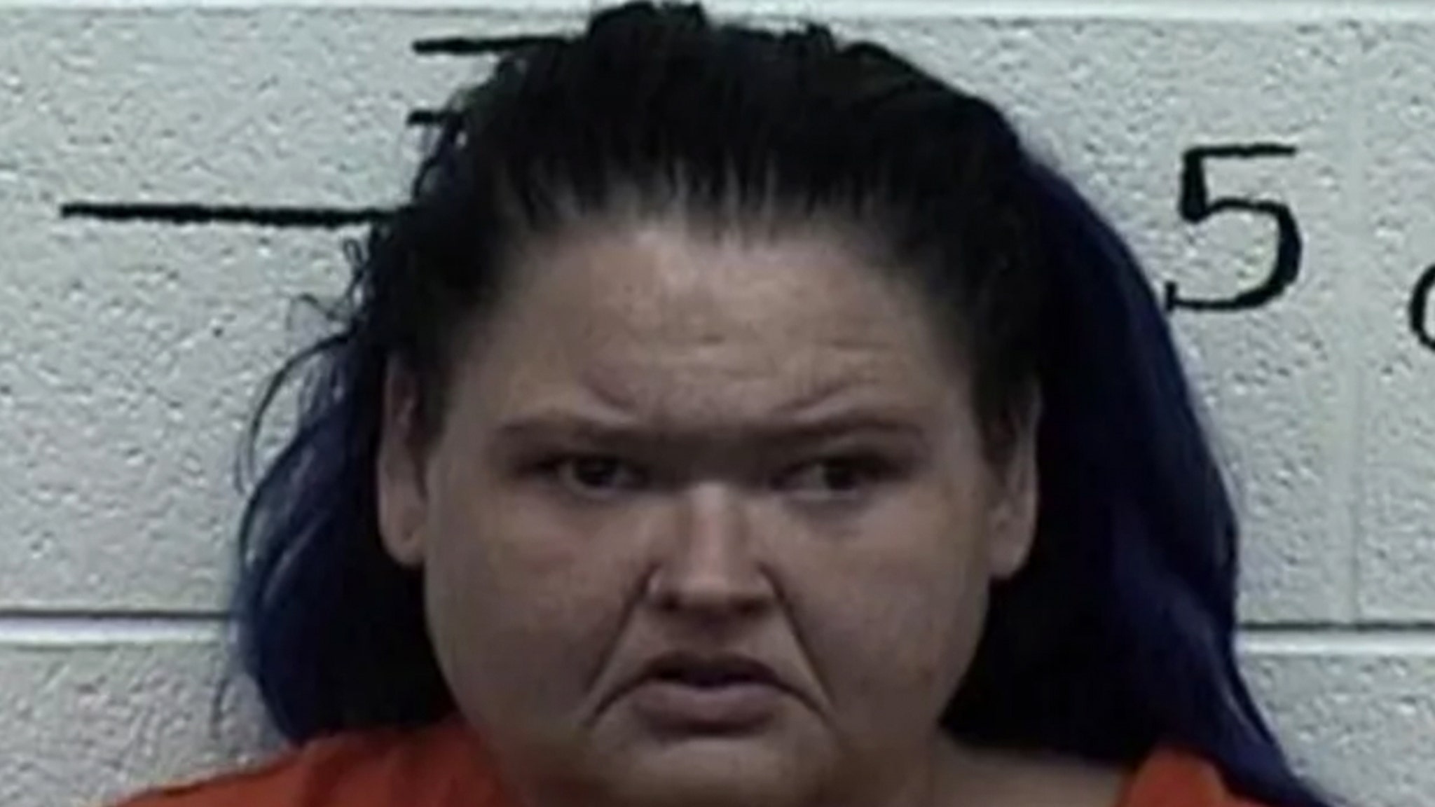 '1,000-Lb. Sisters' Star Amy Slaton Busted for Drugs, Child Endangerment