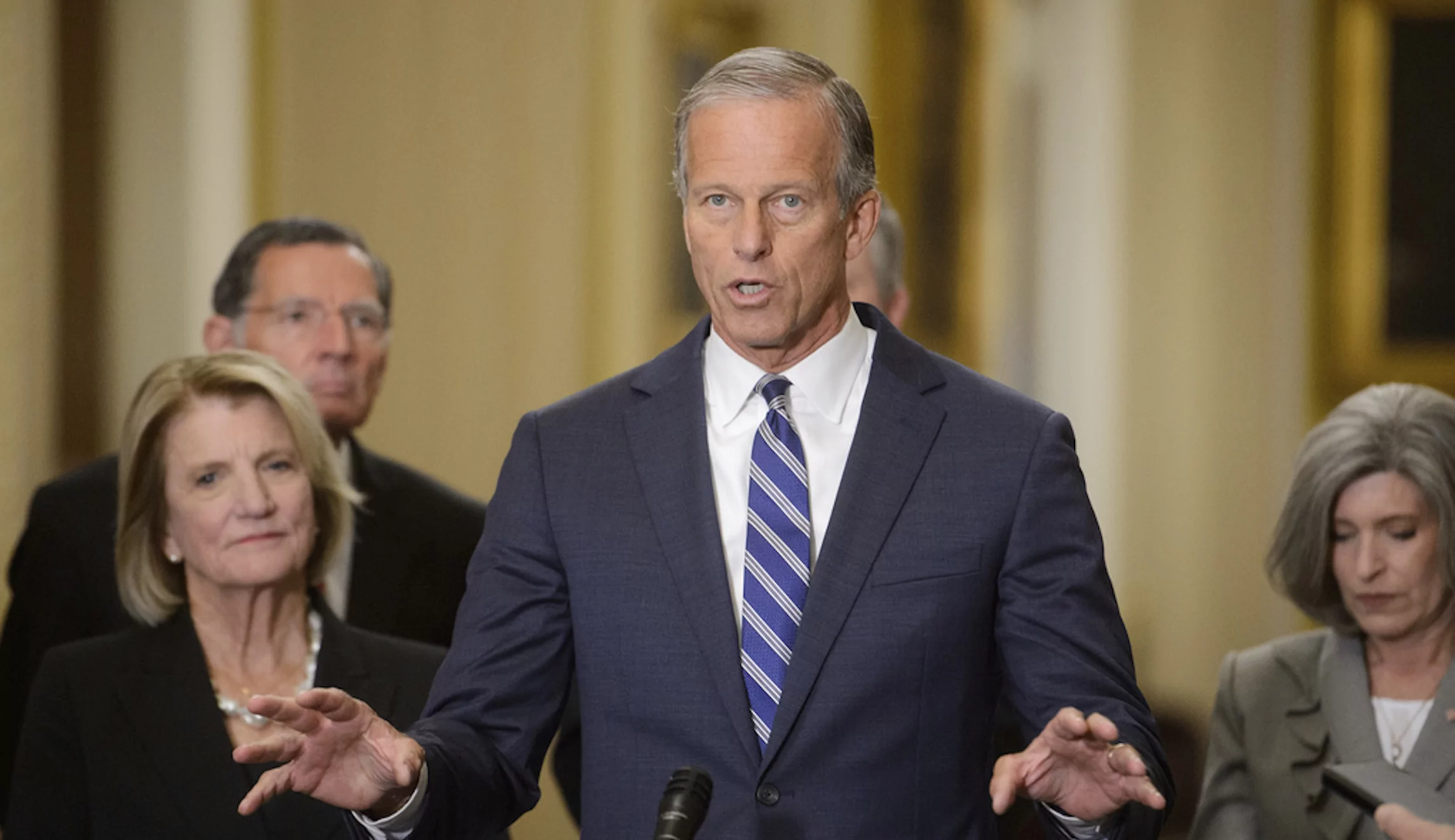 Thune transfers $4M to Senate Republicans as leader race heats up- Washington Examiner