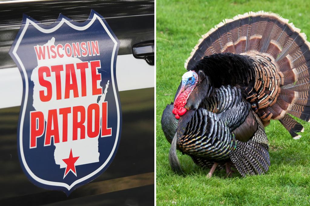 A Wisconsin State Patrol trooper fends off aggresive turkey