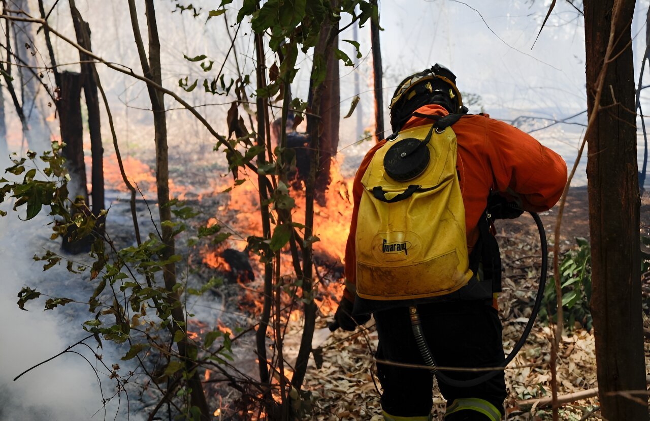 Brazil braces for more fires amid extreme low humidity