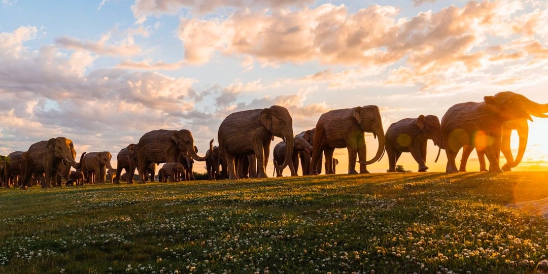 Herd of (Sculptural) Elephants Overtake the Streets of New York City