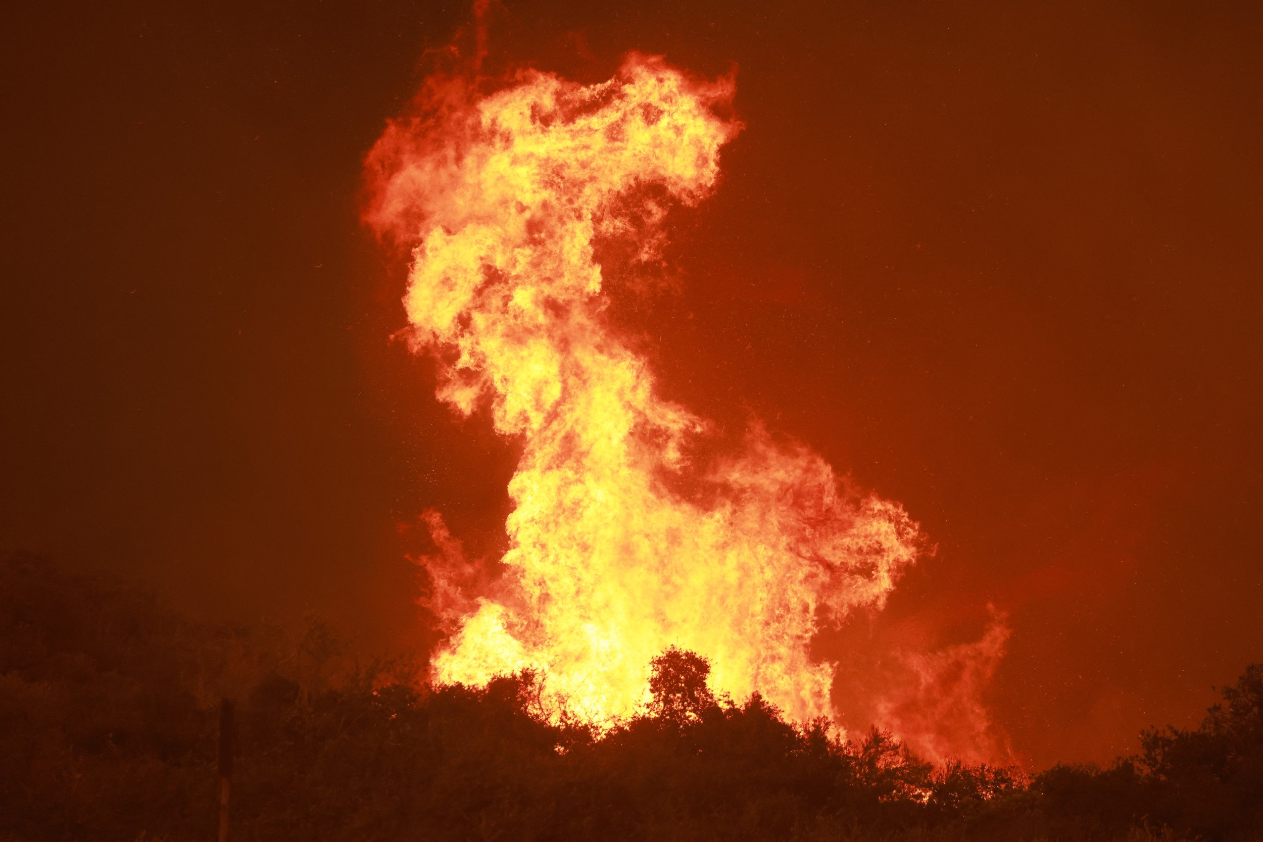 Gavin Newsom Declares State of Emergency for Bridge and Airport Wildfires