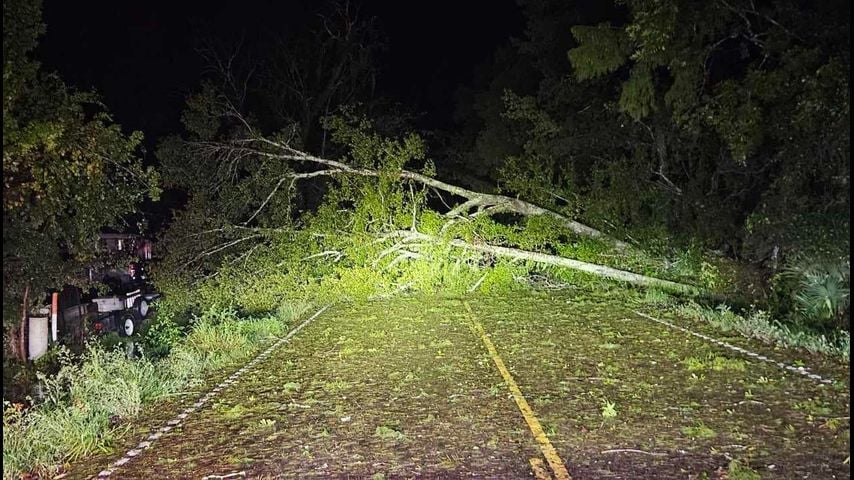 Trees drop across Livingston Parish roads, homes