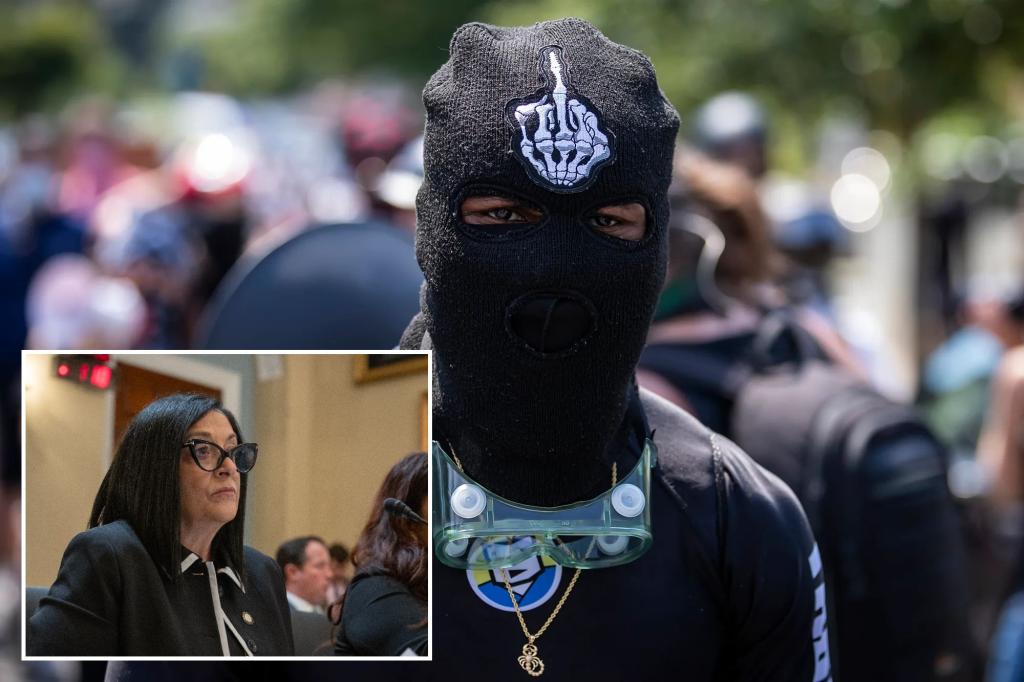 NYC councilwoman wants ski masks banned because anonymity 'emboldens' criminals to 'cause chaos'