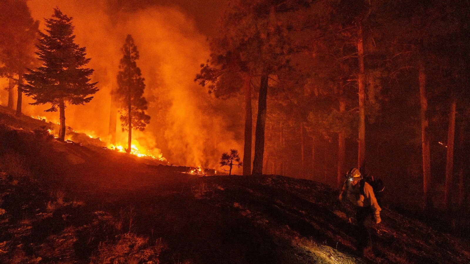 California Bridge Fire updates: Cooler weather slows wildfire's growth