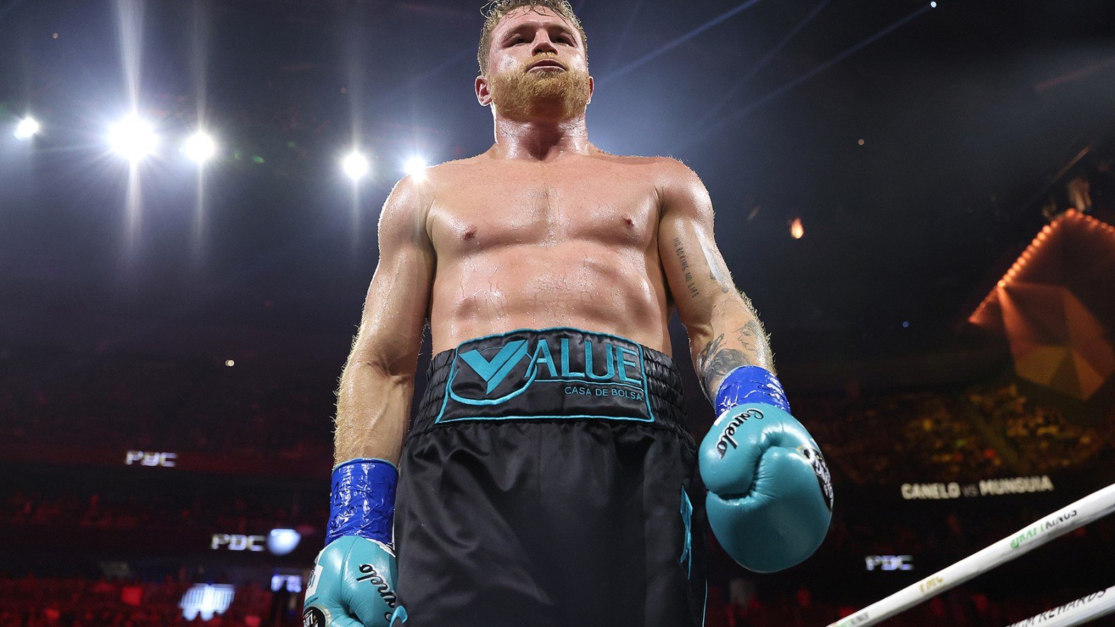 Canelo vs. Berlanga Livestream: How to Watch the Fight Online Tonight