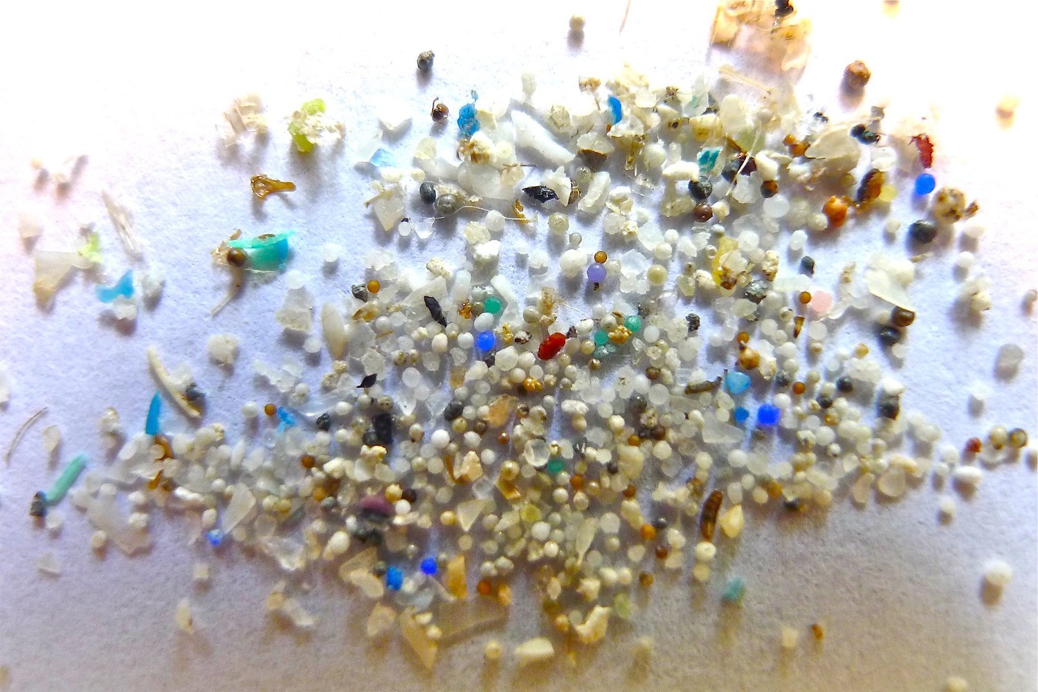 Nearly .05% of Your Brain Is Likely Microplastic, Brain Samples Reveal