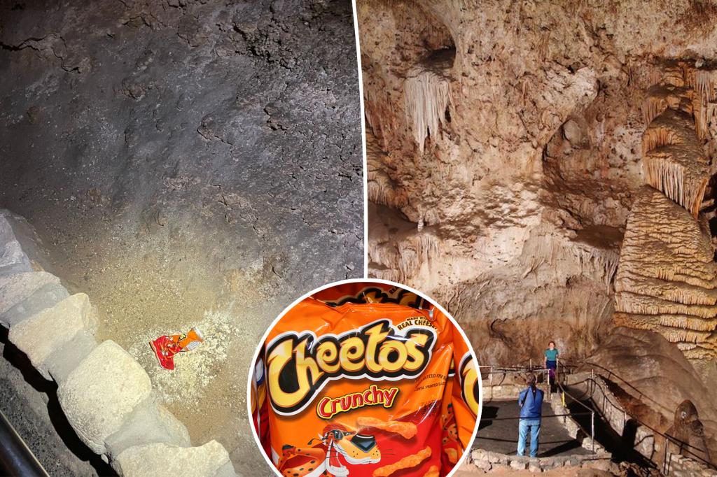 A bag of Cheetos had 'world changing' impact at national park