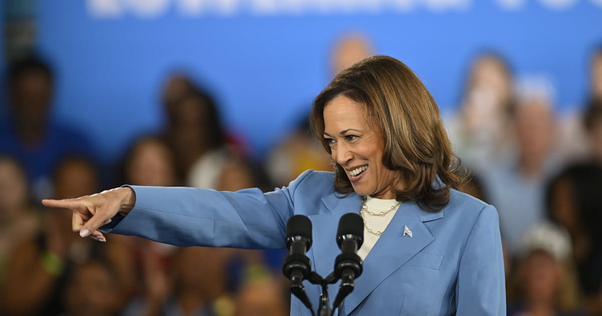 Republicans Will Rally Support for Kamala Harris at DNC