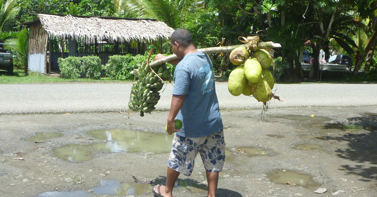 Breadfruit Is Here to Save the World