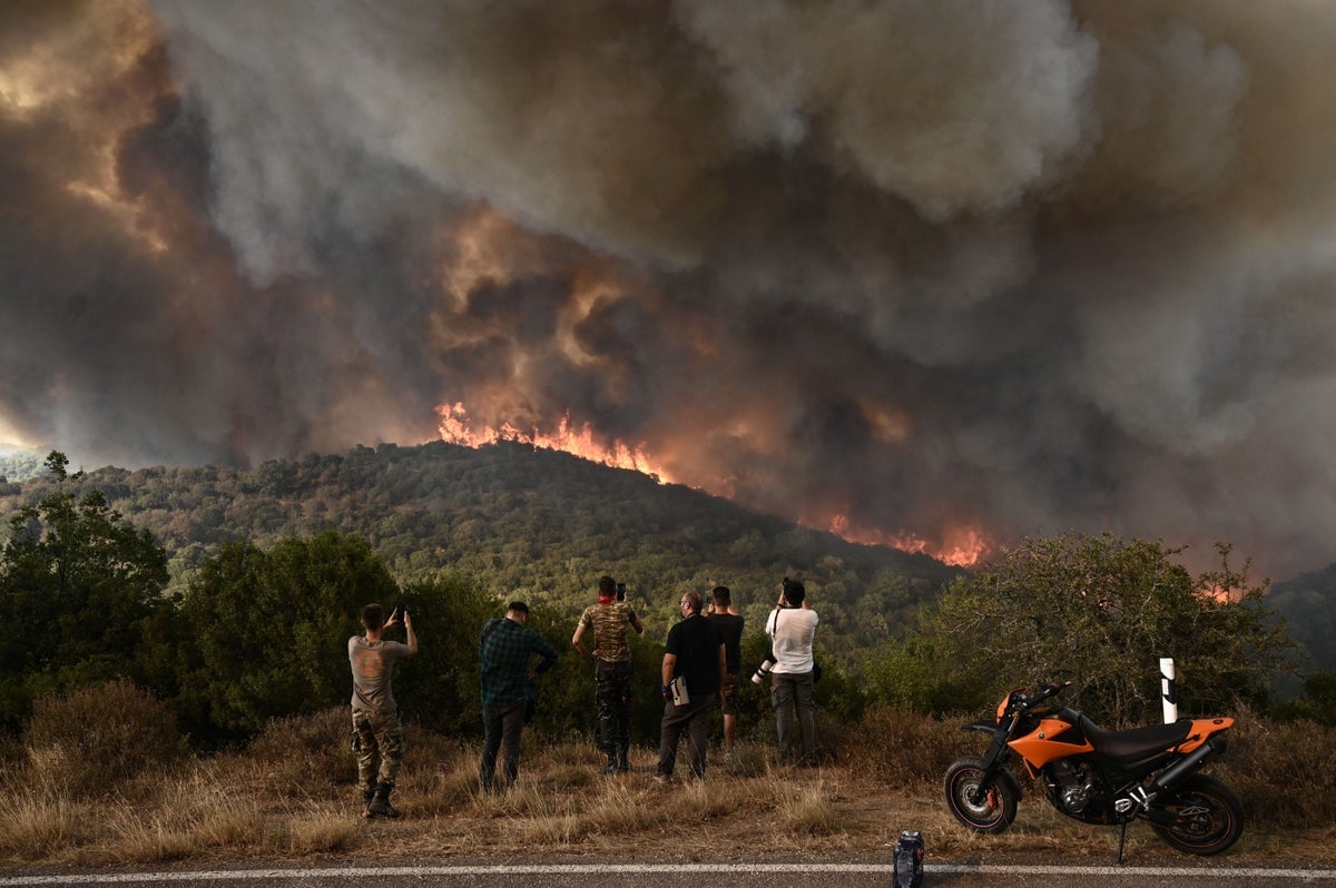 Climate Change Made 2023’s Wildfire Season So Much Worse