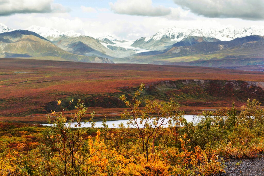 Thawing Alaskan Permafrost Is Releasing Dangerous Levels of Mercury