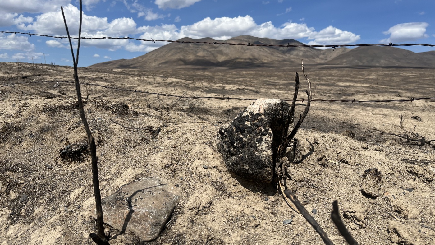 These Oregon ranchers say the losses from summer range fires will be huge