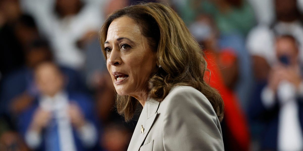 Kamala Harris has made major gains in critical Sun Belt swing states, leads in Arizona and North Carolina: poll