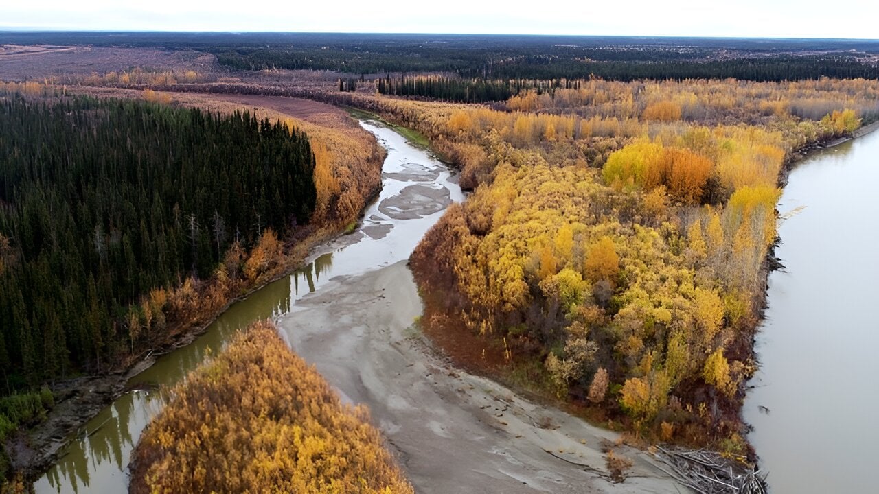 'Mercury bomb' threatens millions as Arctic temperatures rise, study warns