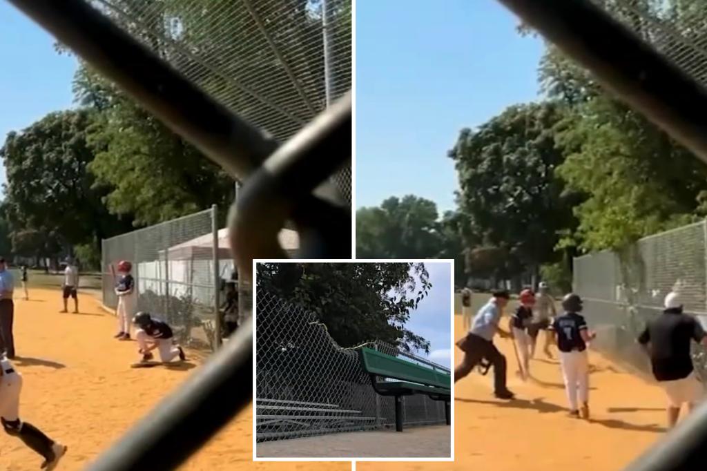 Tree crashes down on Little League dugout in New Jersey