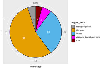 Uncovering structural variants in Creole cattle from Guadeloupe and their impact on environmental adaptation through whole genome sequencing