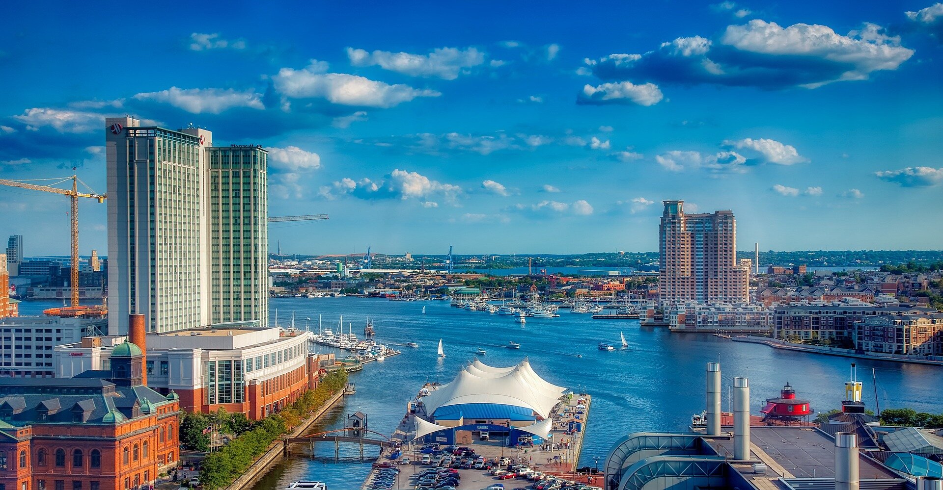 Fish kill results in about 24,000 dead fish in Baltimore's Inner Harbor