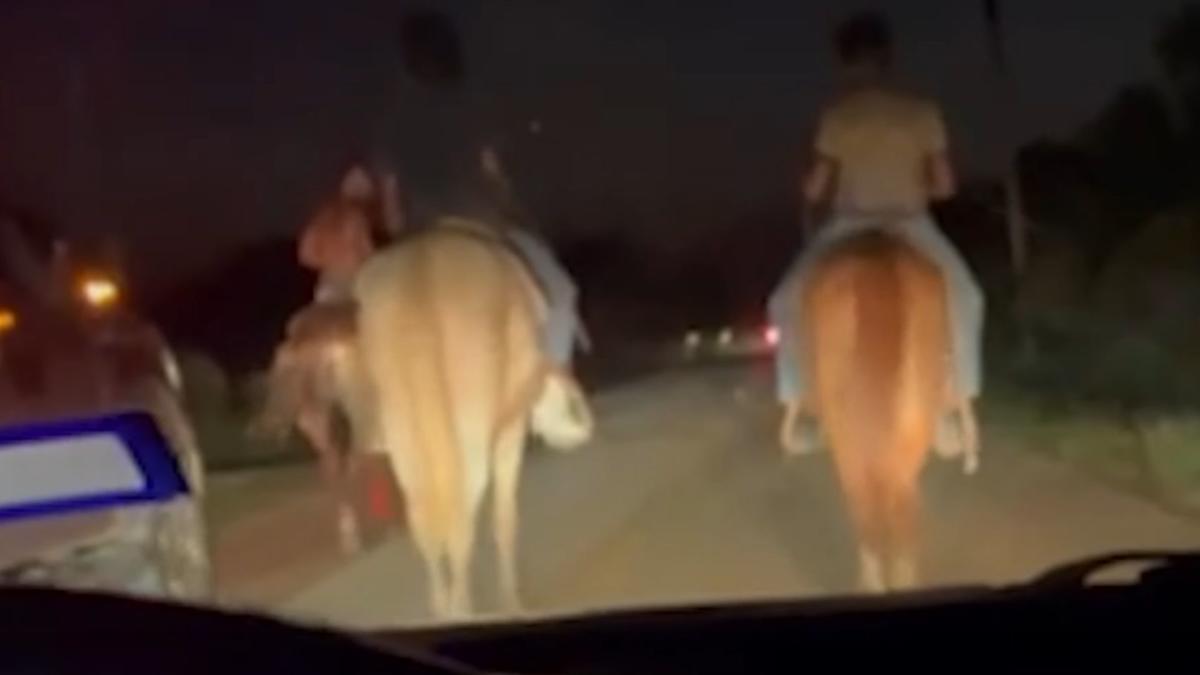 Horseback Road Rage Shooting Is So Very Texas