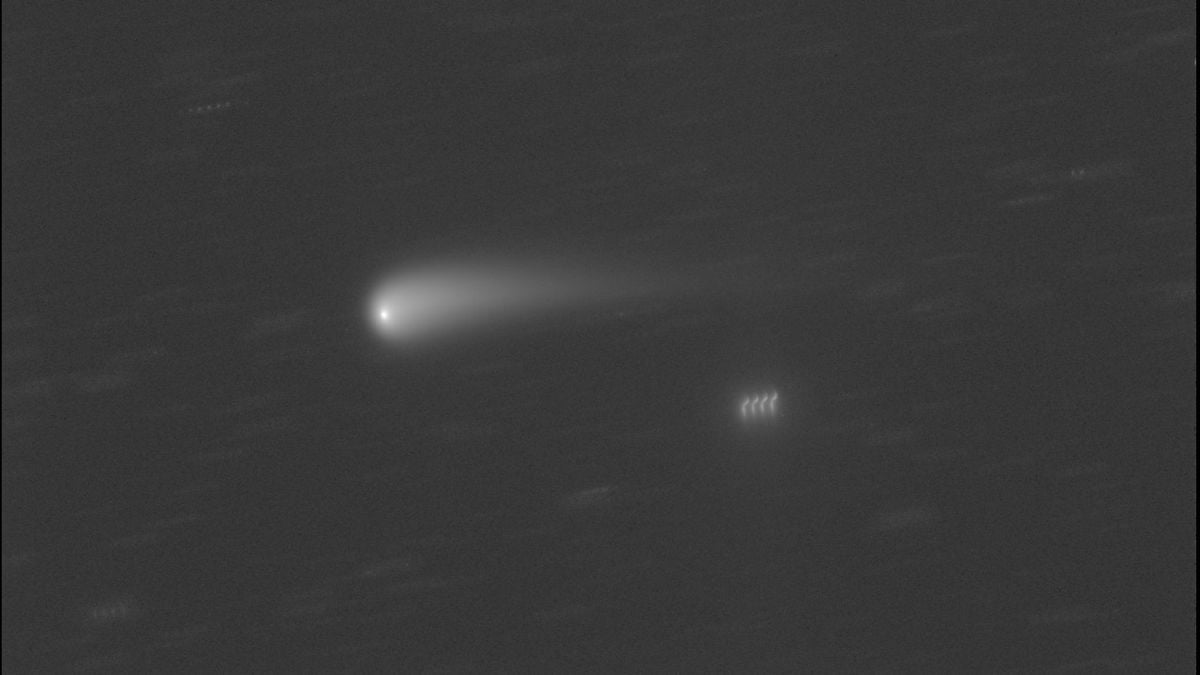 'Doomed' comet Tsuchinshan-ATLAS survives brush with sun — may be visible to naked eye this fall