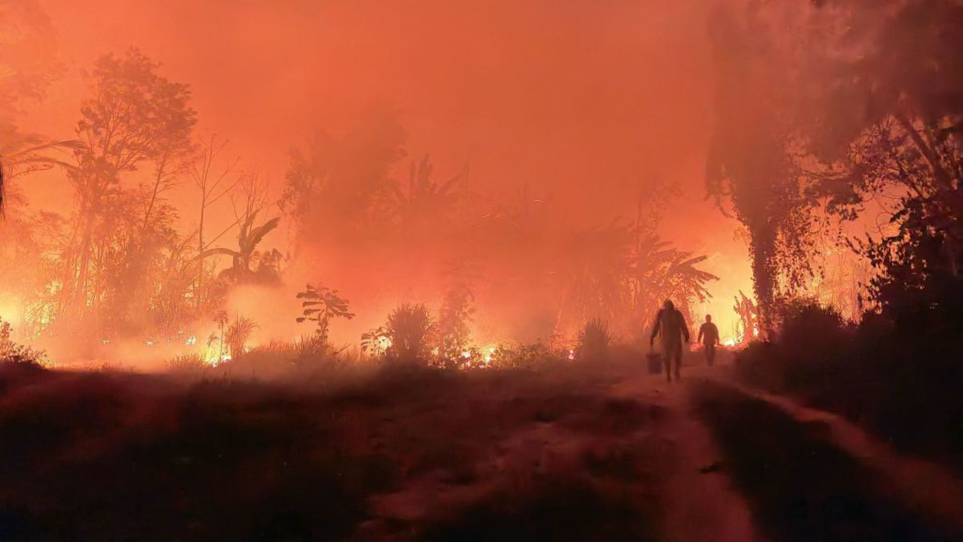 Bolivia declara emergencia nacional por incendios forestales