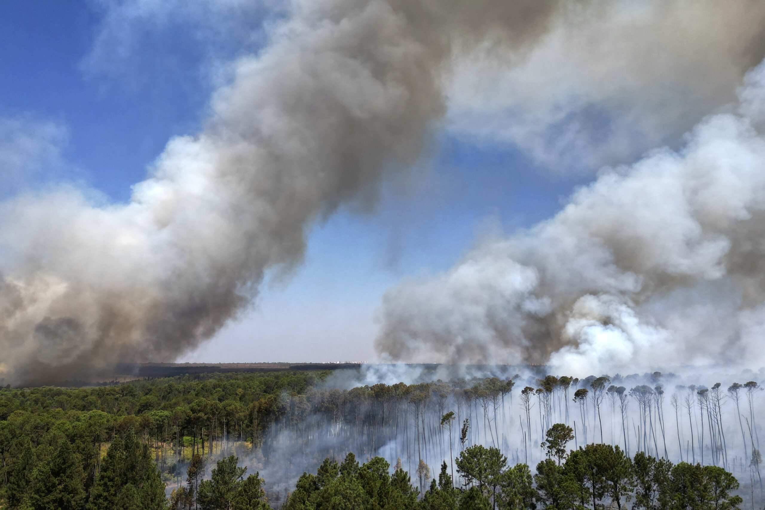 A Continent Ablaze: South America Surpasses Record for Fires