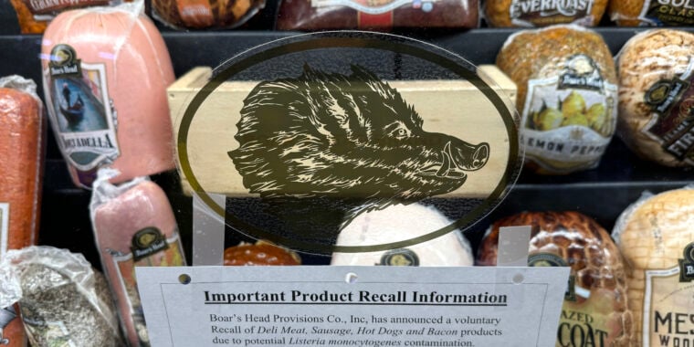 Blood puddles, mold, tainted meat, bugs: Boar’s Head inspections are horrifying