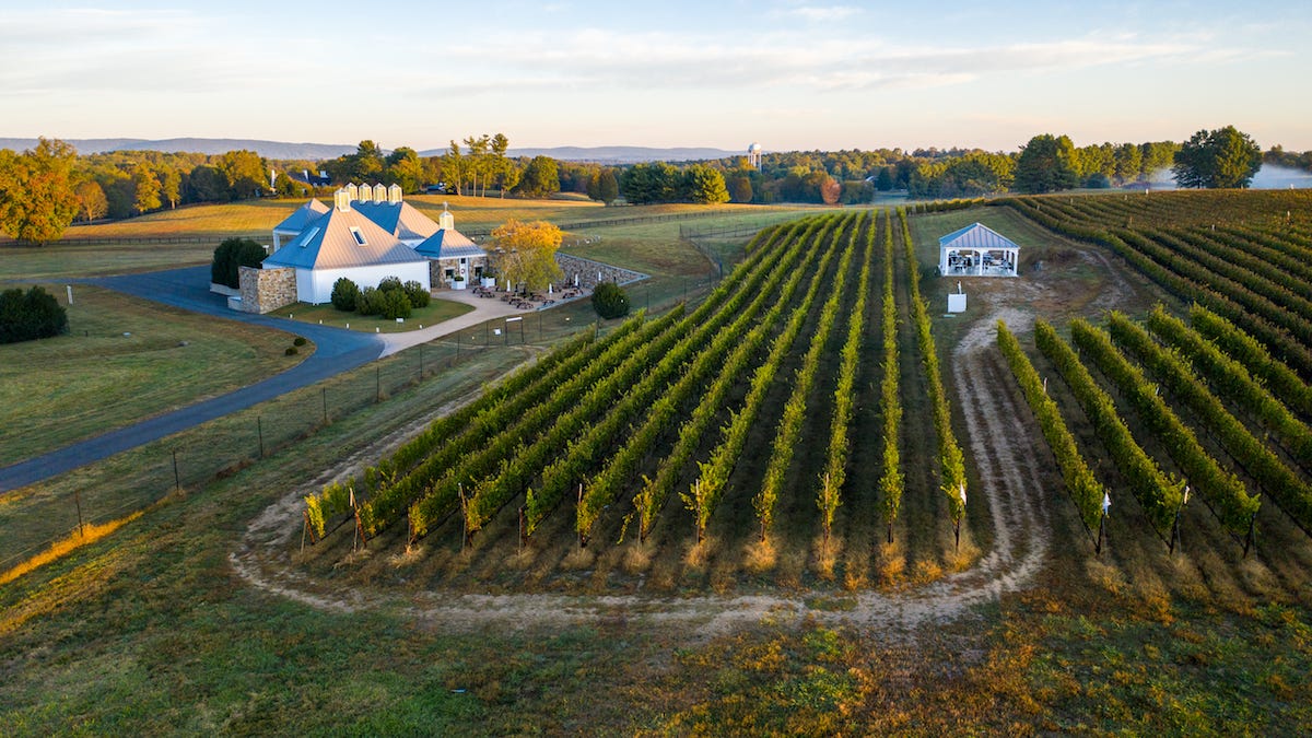 The future of American wine may be in Virginia