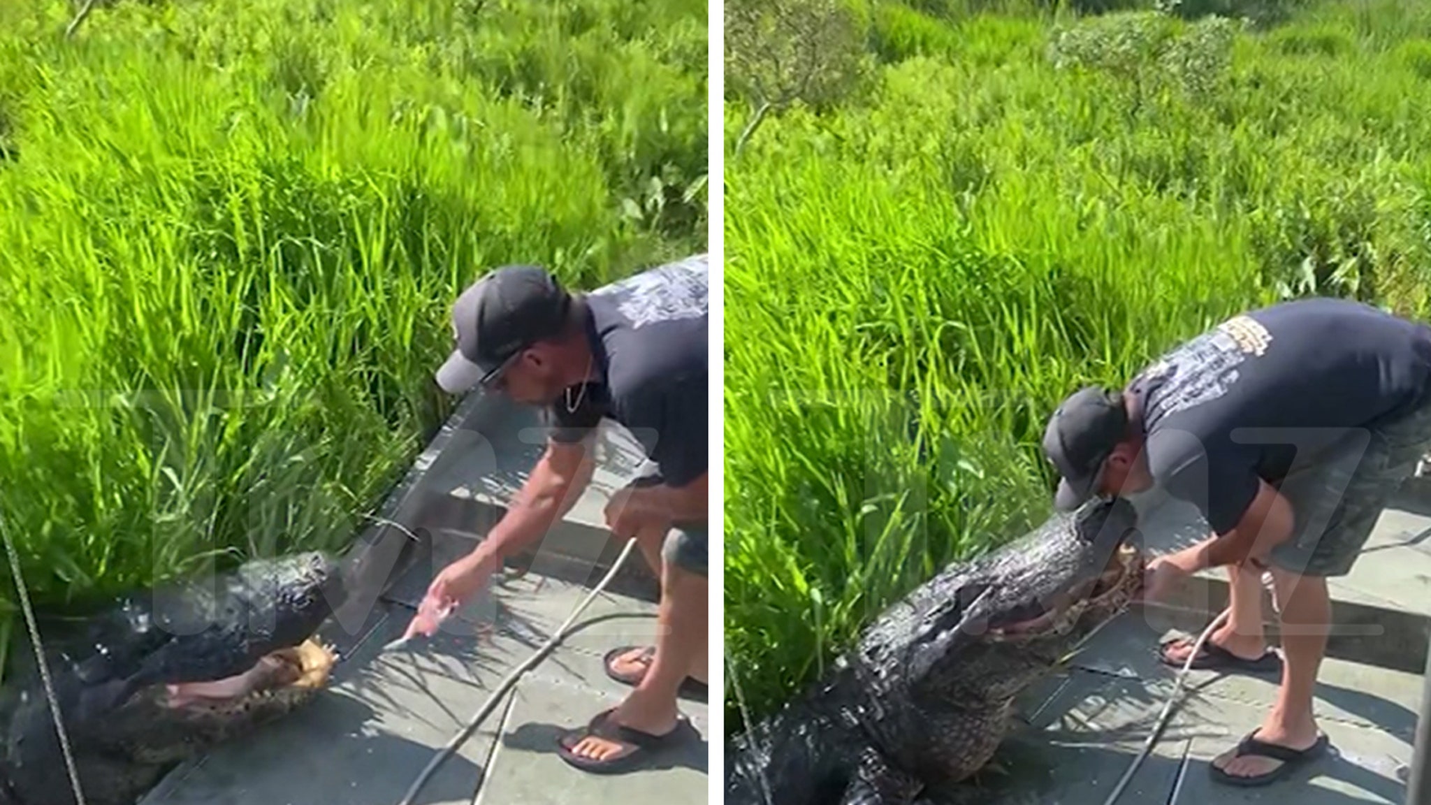 Lana Del Rey's Rumored Alligator Tour Guide BF Kisses Massive Gator in Wild Video